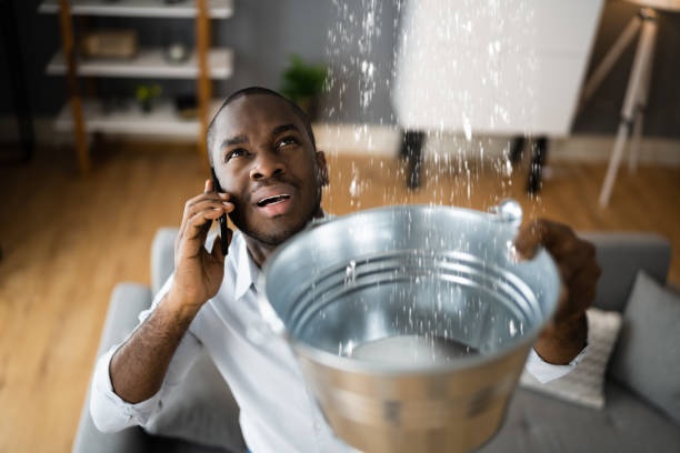 Best Local water damage restoration  in Fordoche, LA