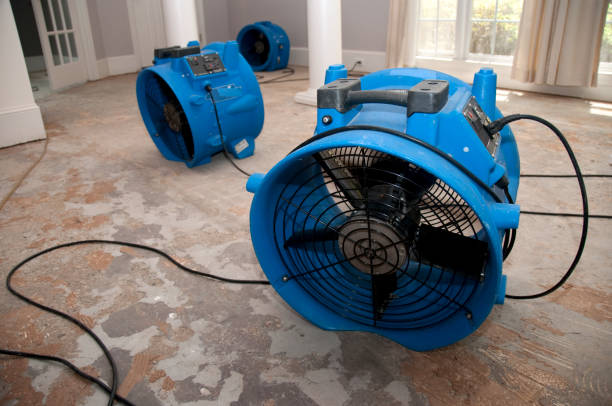 Best 24/7 water damage repair  in Fordoche, LA
