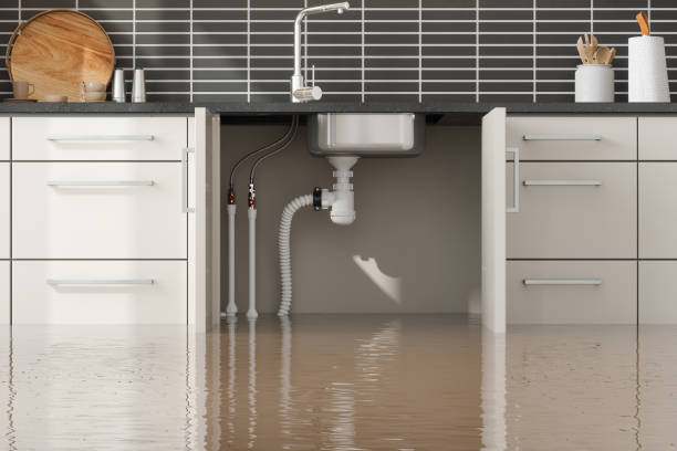 Best Water damage restoration services  in Fordoche, LA