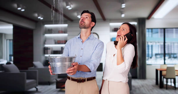 Best Water damage cleanup near me  in Fordoche, LA
